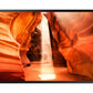 Samsung SMART LCD Signage OM55N-S