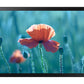 Samsung Indoor LED - QB24R-T