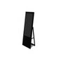 Digitaler Kundenstopper Stand Alone 43 Zoll